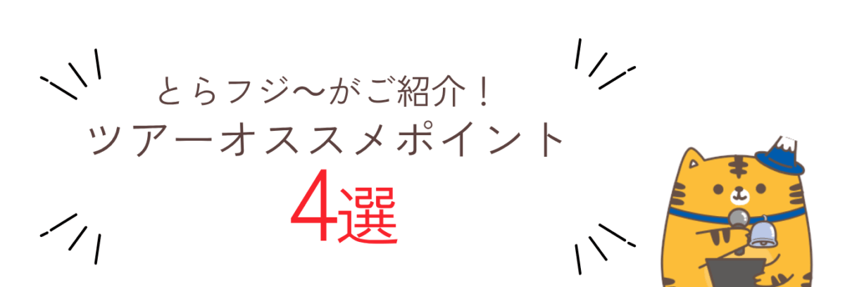 とらフジ～がご紹介！ツアーオススメポイント4選